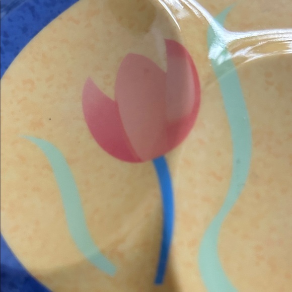 Colorful Divided Plate - Picture 3 of 6